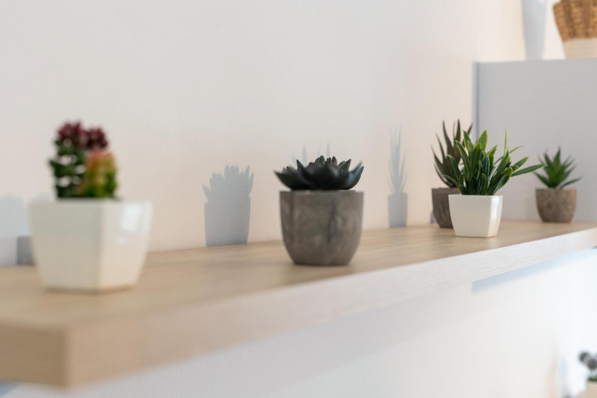 Grace Apartments - 3 Bedroom City Centre Grenada Zewnętrze zdjęcie